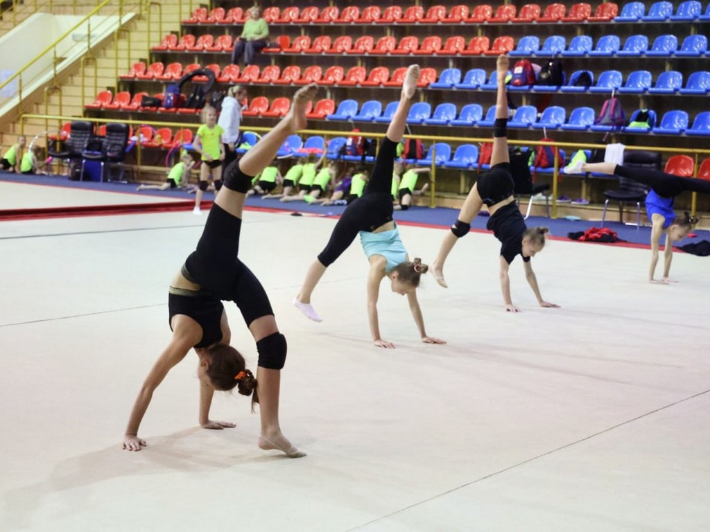 82 белгородских гимнаста тренируются в пензенском спорткомплексе