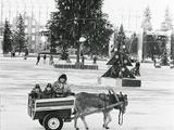 Семь зим. Как выглядел заснеженный Белгород 60, 56, 35, 26 и 16 лет назад - Изображение 11