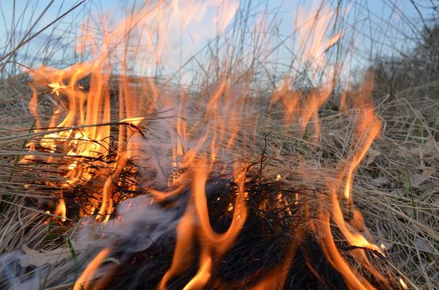 Запах гари в областном центре вызван загоранием сухой травы в Белгородском районе