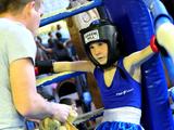 В Белгороде прошёл боксёрский юношеский турнир памяти Николая Ватутина - Изображение 11