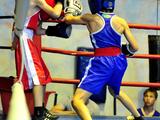 В Белгороде прошёл боксёрский юношеский турнир памяти Николая Ватутина - Изображение 17