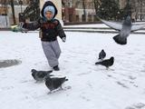 Белгород встречает первый снег - Изображение 10