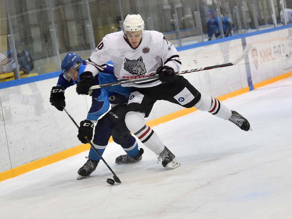 Хоккеисты «Белгорода» победили глазовский «Прогресс» 4:2