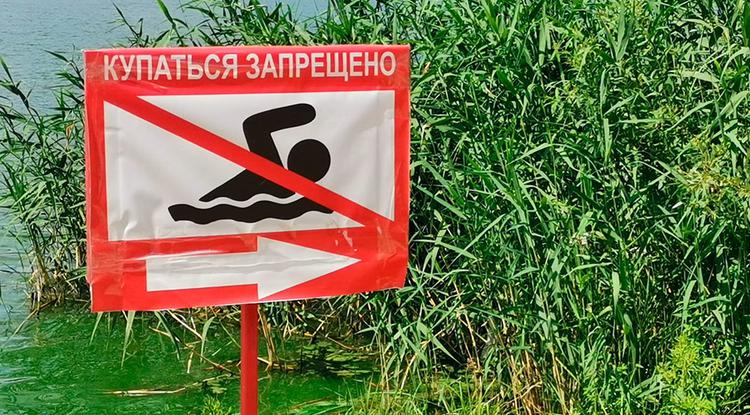 За время купального сезона – 2021 в Белгородской области утонули 32 человека